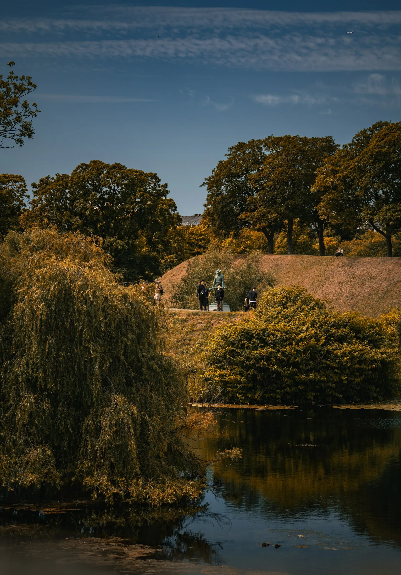 Autumn trees and grasses reflected in a still pond